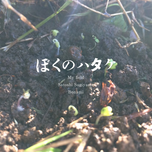 ぼくの畑 - My field アートワーク